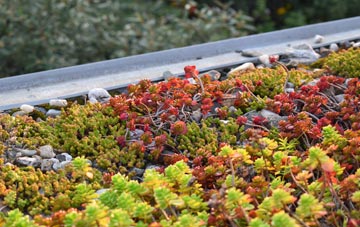 the cost of Great Haywood green roof installation