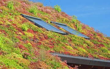 Great Haywood living roof systems