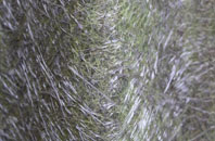 Great Haywood fibreglass roof work